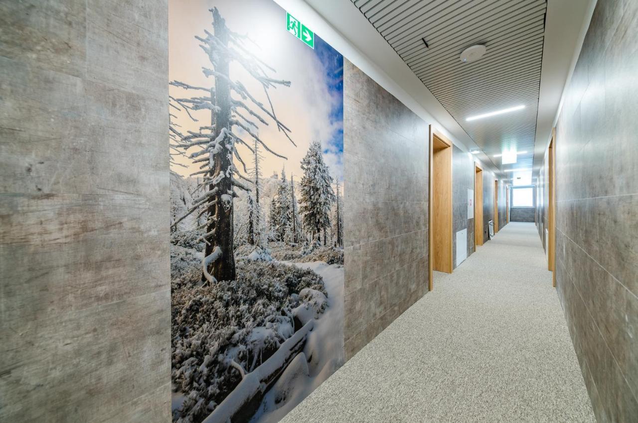 Apartamenty Na Uroczysku Шклярська Поремба Екстер'єр фото